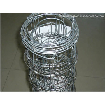 Farm Fence for Animal/ Hinge Joint Wire Mesh Fence/Animal Fence